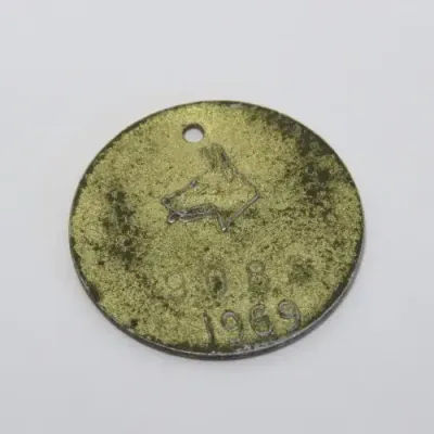 1969 City of Cape Town dog license - #9082