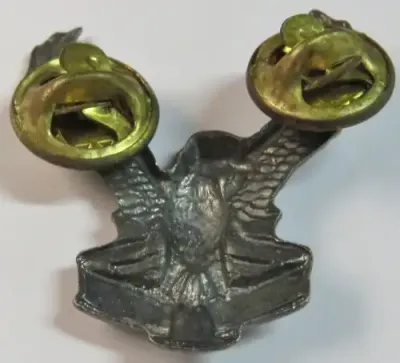 SWA Air Force collar badge - Aps