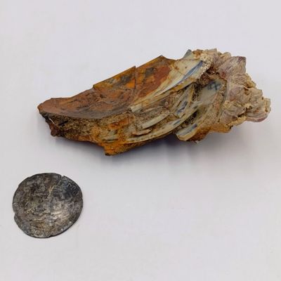 Shipwreck conglomorate with blue porcelain - Also shipwreck coin from the same wreck - looks like 1600&#39;s dutch coin