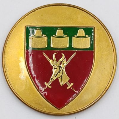 SADF Witwatersrand command medallion