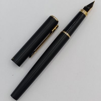 Vintage Sheaffer fountain pen