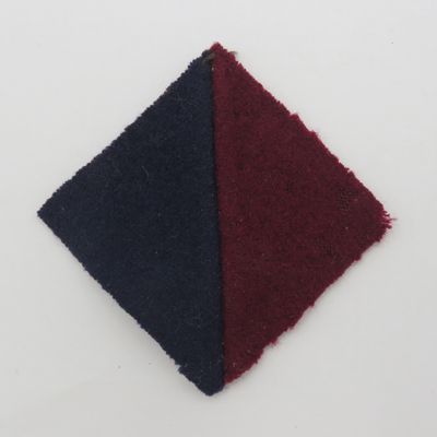Royal Divisional Artillery helmet pith flash