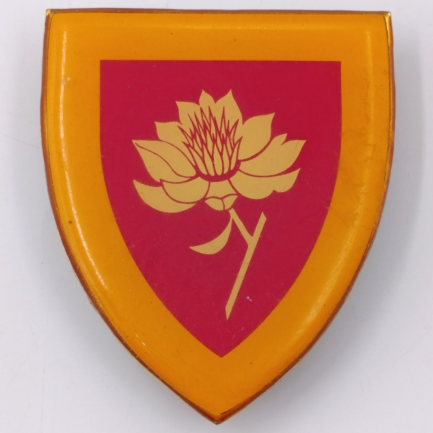 SA Army Womens College shoulder flash