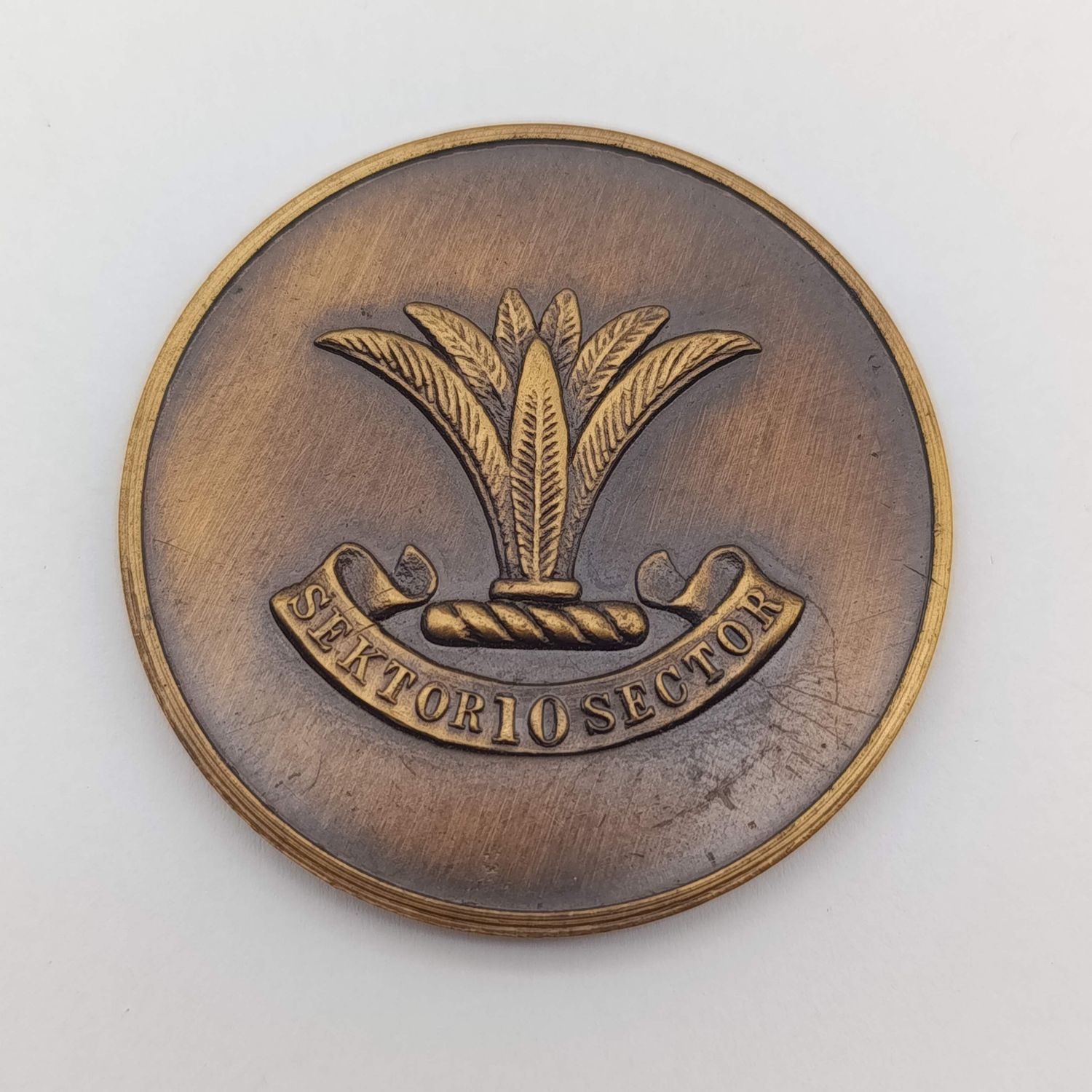 SWA Sector 10 medallion