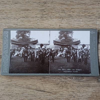 Royal family and officers at Backingham palace - antique stereocard