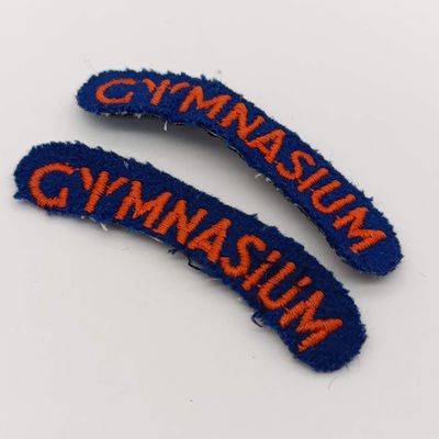 Pair of SA military Gymnasium shoulder cloth titles
