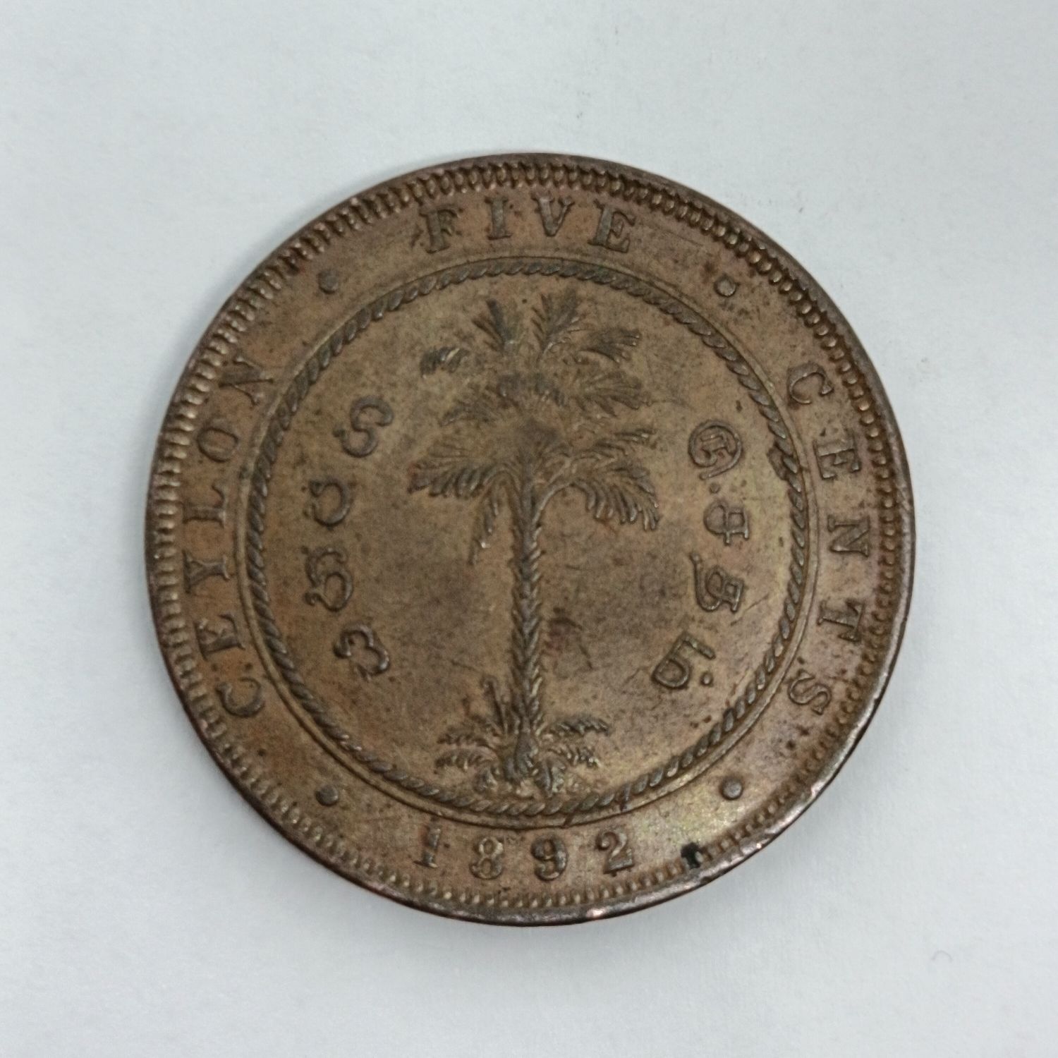 Ceylon 1892 Five Cent XF