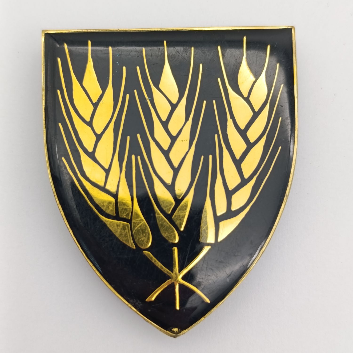 SADF Swartland commando shoulder flash