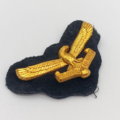 SA Air Force cap badge with backing