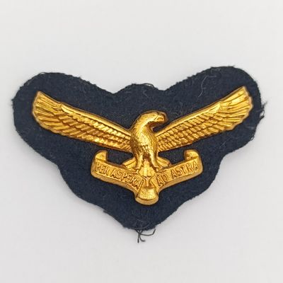 SA Air Force cap badge with backing