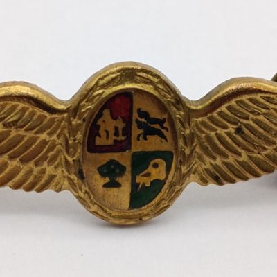 SA Air Force Pilot mess dress ring