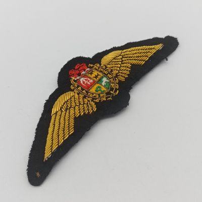 SA Air Force Pilot wing