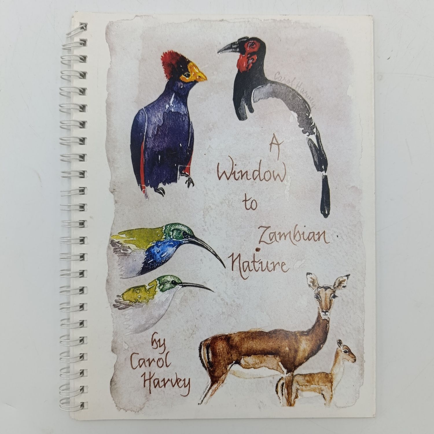 A Window to Zambian Nature by Carol Harvey