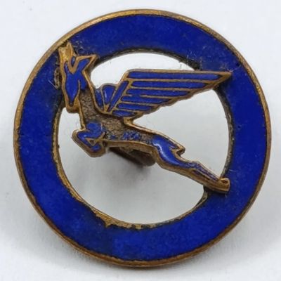 Vintage SA Airways Springbok lapel badge