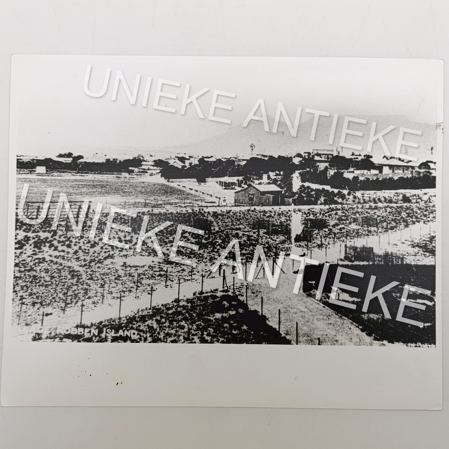 Antique photo reprint of Robben Island village with view towards Table Mountain