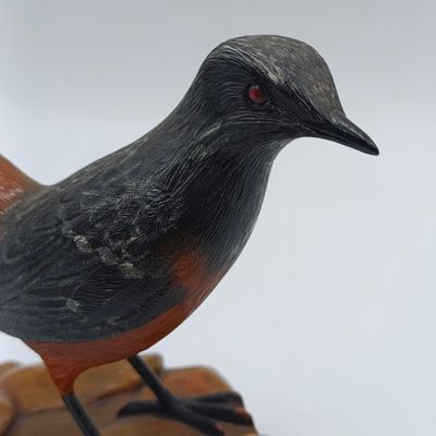 Beautiful Cape Robin-chat (Jan Frederik) bird decoration
