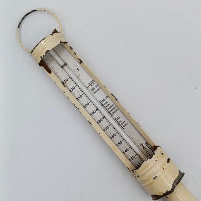 Vintage Fruit Bottling Thermometer