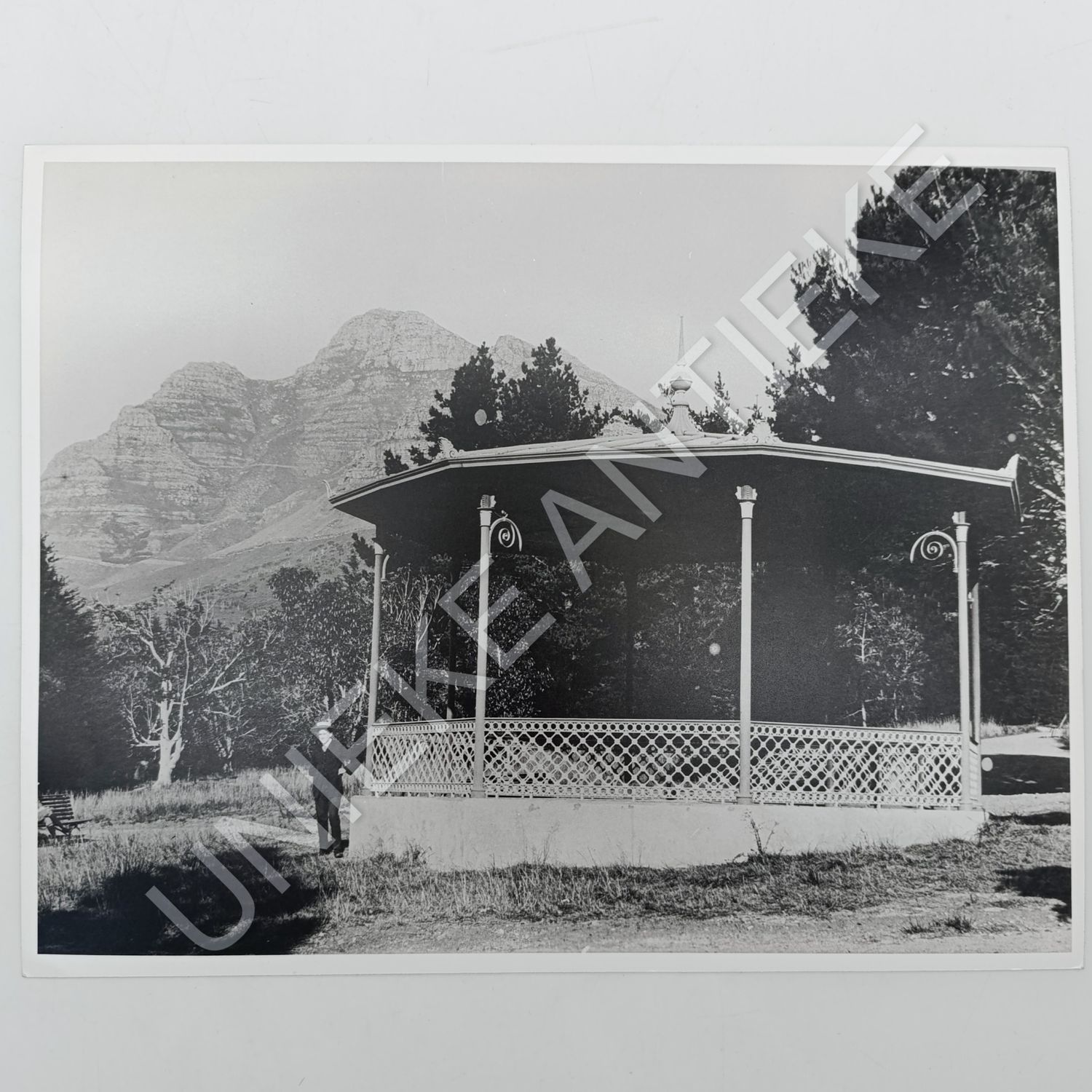 Antique photo reprint of Veranda in De Waal Park with Devil&#39;s Peak in back