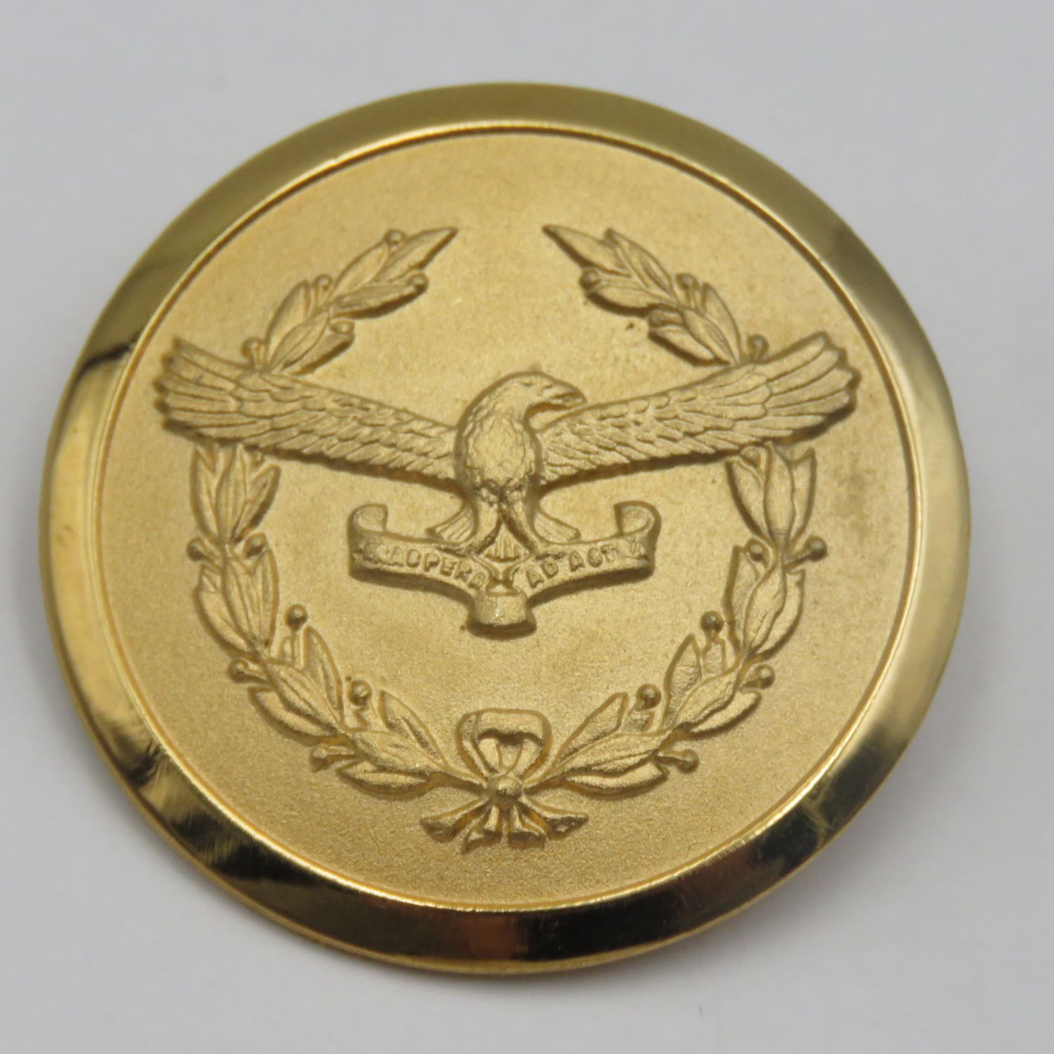 SA Air Force ladies organisation gold colour badge