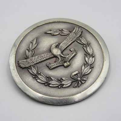 SA Air Force Ladies organisation silver colour badge