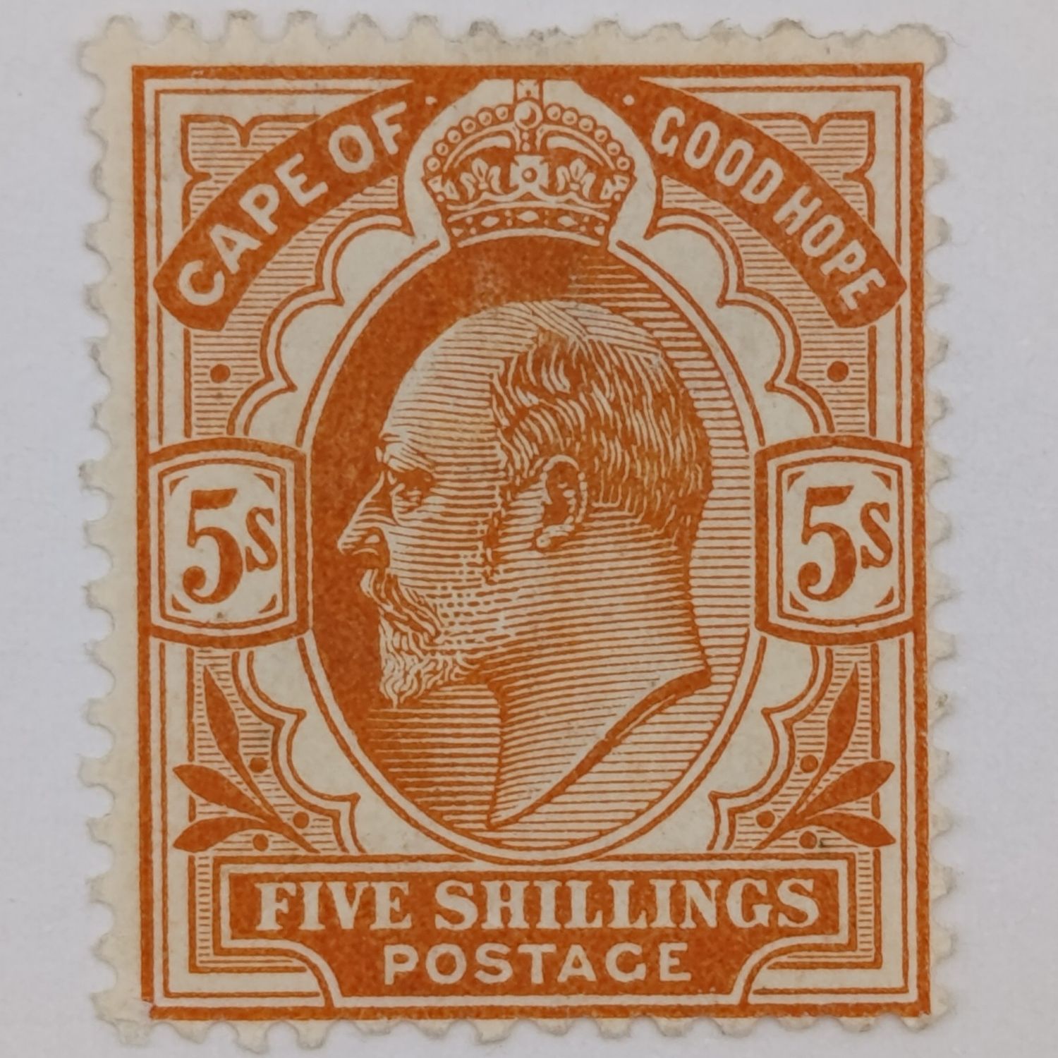 Cape of Good Hope SG 78 5 shilling mounted mint short perf top