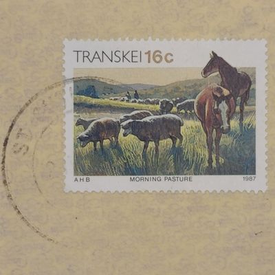 Actual useage of Transkei stamp on cover
