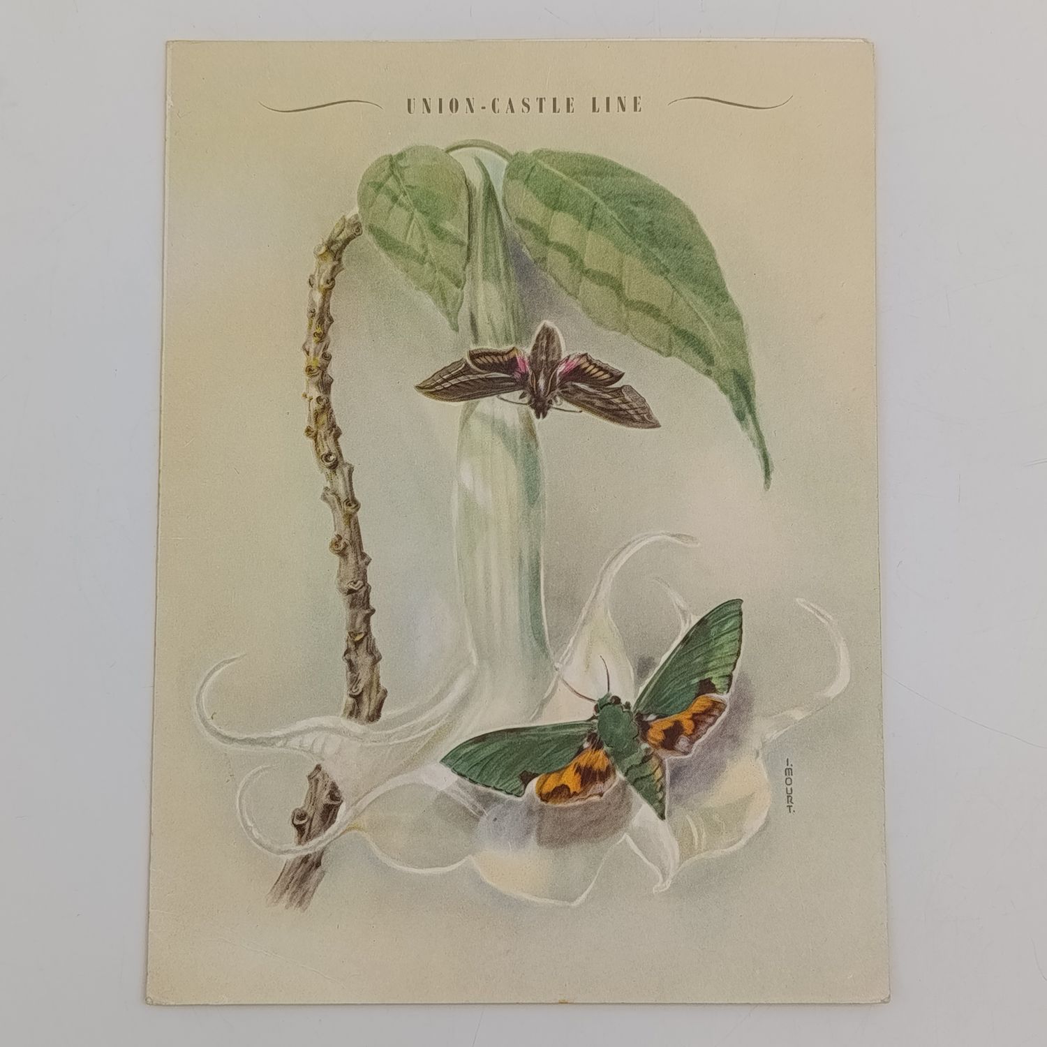 Union Castle line RMS Pendennis Castle 24th August 1967 Dinner menu