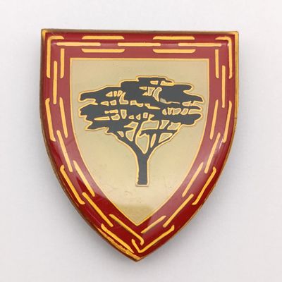 SA Army Lohatla support base shoulder flash