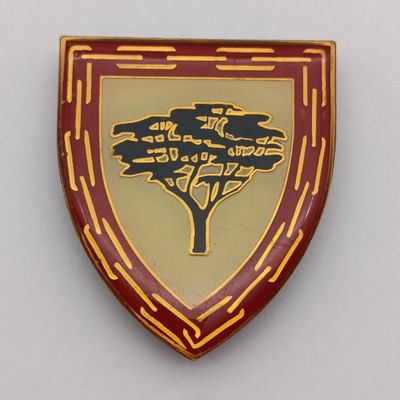 SA Army Lohatla support base shoulder flash