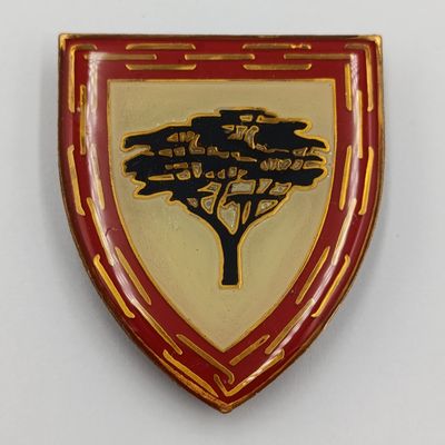 SA Army Lohatla support base shoulder Flash