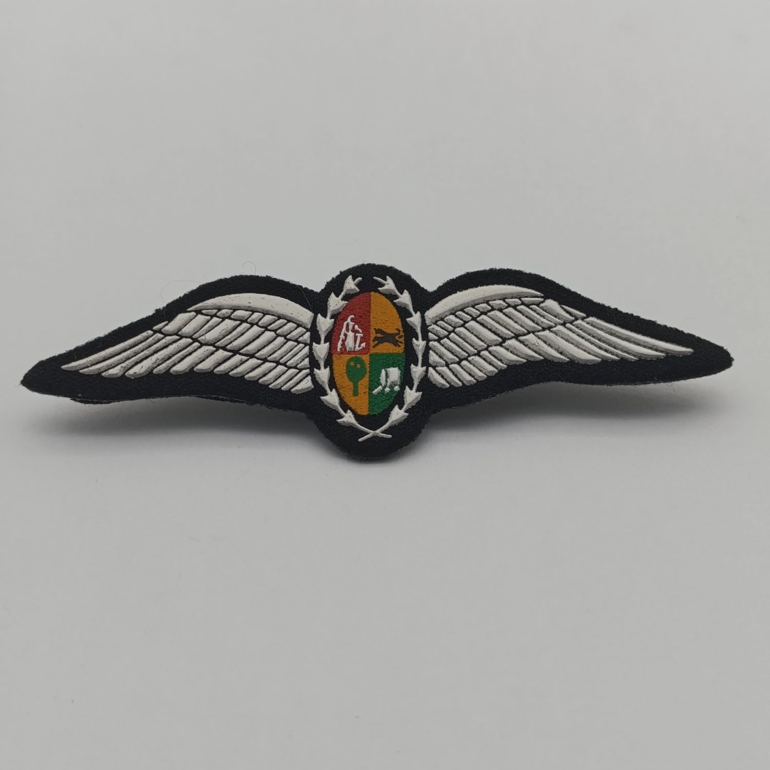 SA Air Force Pilot wings - tupperware