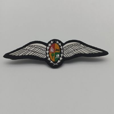 SA Air Force Pilot wings - tupperware