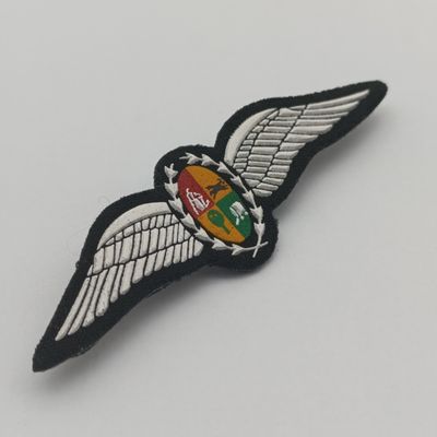 SA Air Force Pilot wings - tupperware