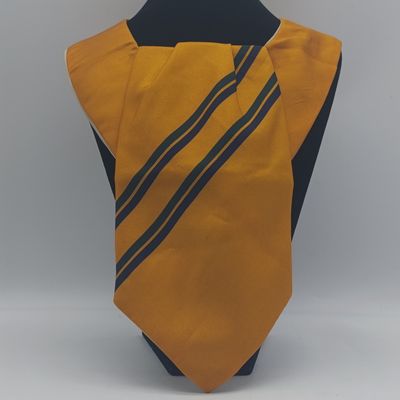 SADF 8 SA Infantry cravat