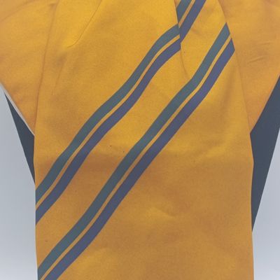 SADF 8 SA Infantry cravat