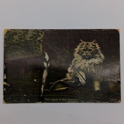 Postcard Birkenherd to Cape  Town posted 30 Sept 1910 and Taxed 1D