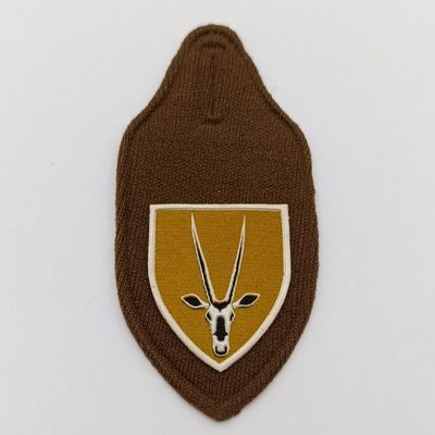 SADF 8 SA Infantry pocket fob flash