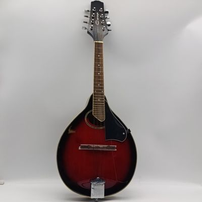 Caraya 8-string mandolin - model MA-02-RAS - sunburst finish