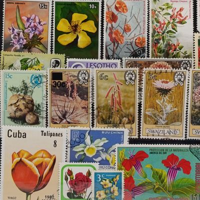 Stamp card with 28 Flower stamps