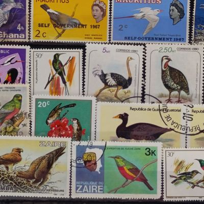 Stamp card with 21 Bird stamps
