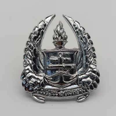 SADF Army Gymnasium beret badge