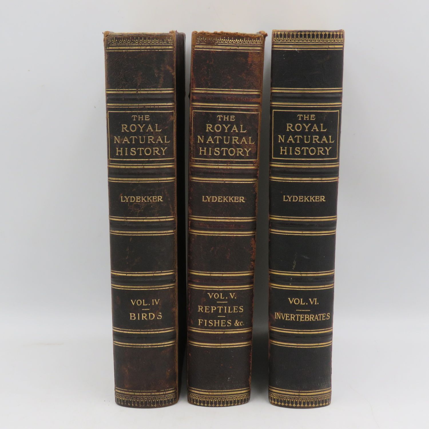 The Royal natural history by Lydekker 1896 First edition volumes 4,5,6