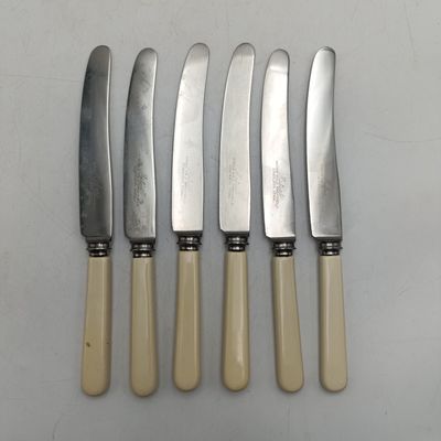 Set of 6 vintage Sheffield stainless faux ivory knives