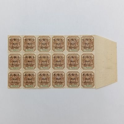 ZAR 2 Pence stamp overprinted E.R.I. Half Penny - Mint block of 18 stamps