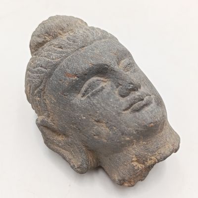 Ancient Gandhara Schist head buddah - Estimated at circa 6th century AD