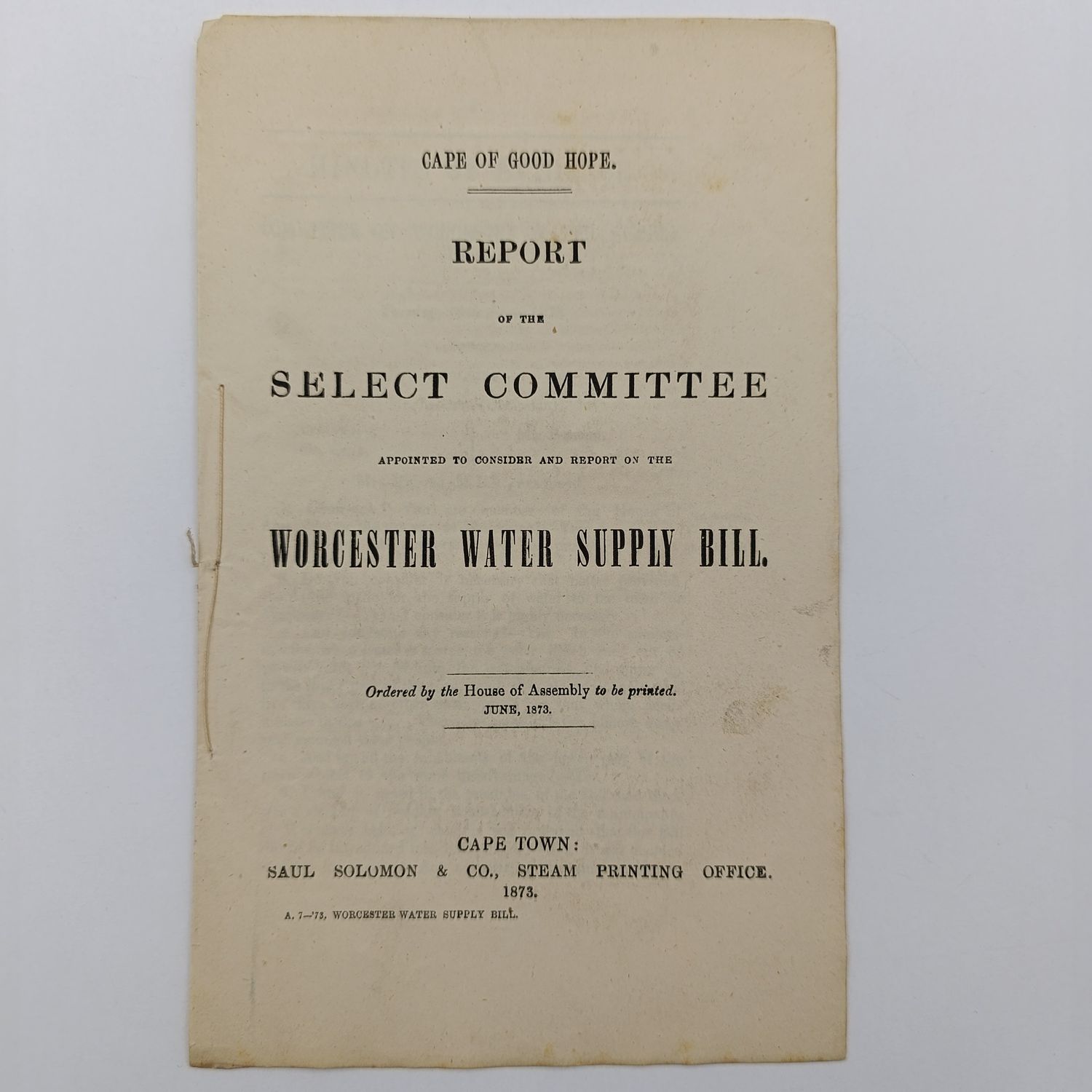 Cape of Good Hope 1873 report of the select committee on the Worcester water supply bill