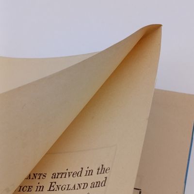 Cape of Good Hope 1860 Statements exhibiting the number of emigrants arrived in the Colony