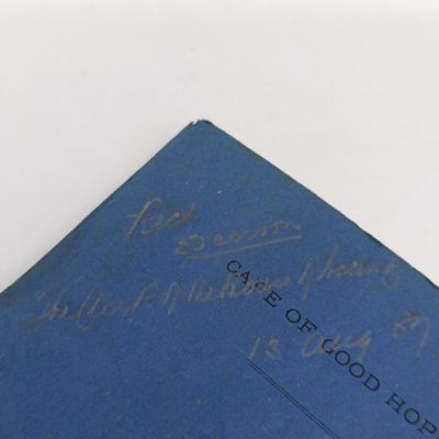Cape of Good Hope Report of the select committee on the Beaconsfield watermarks bill 1887 with map