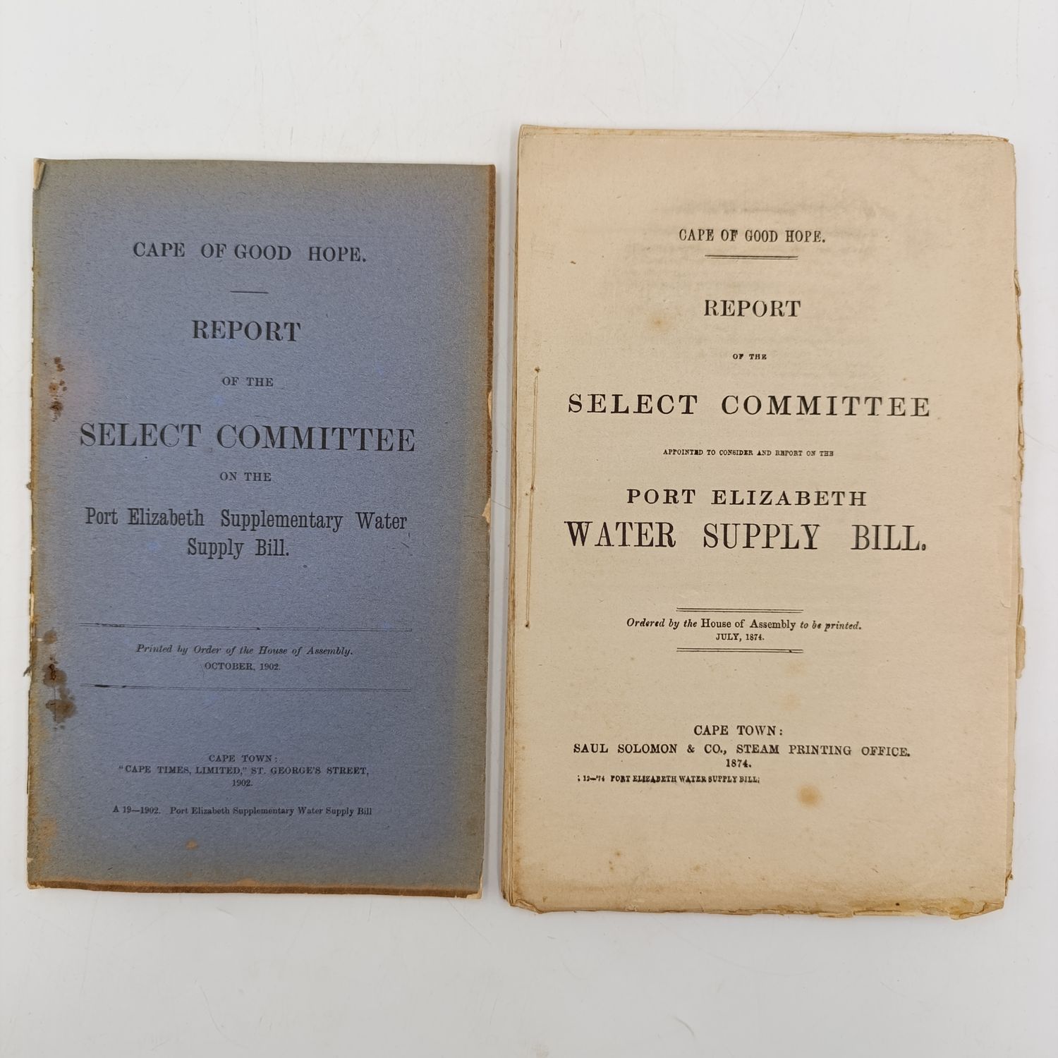 Cape of Good Hope pair of reports on the Port-Elizabeth water supply bill 1874 and one more