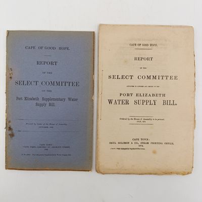 Cape of Good Hope pair of reports on the Port-Elizabeth water supply bill 1874 and one more